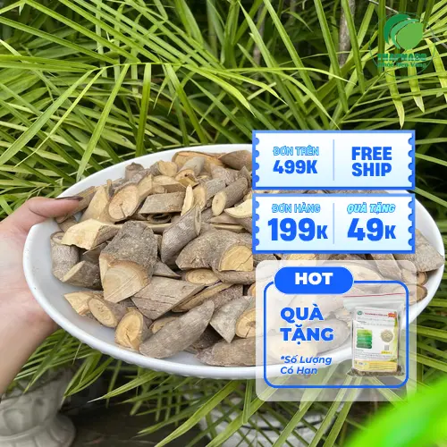 Cây an xoa tự nhiên tươi xanh