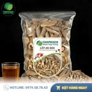 Cây An Xoa giá bao nhiêu 1kg? Đánh giá chất lượng Tấn Phát