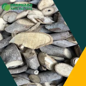 Địa Chỉ Bán Cây An Xoa Chất Lượng Tại TP.HCM