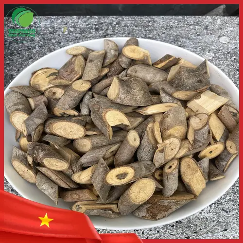 Cách chế biến và sử dụng cây an xoa hiệu quả của Noni Tấn Phát