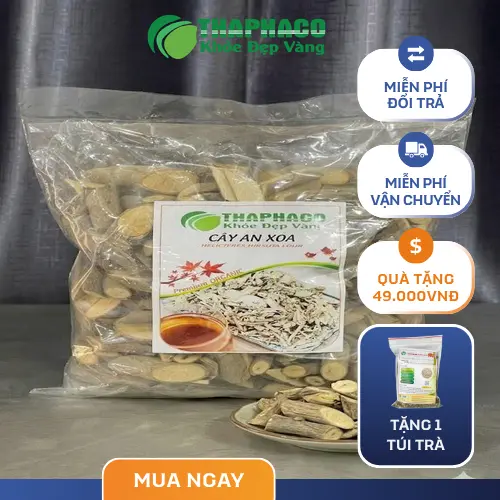 Sản phẩm cây an xoa của Noni Tấn Phát sẵn sàng đến tay khách hàng