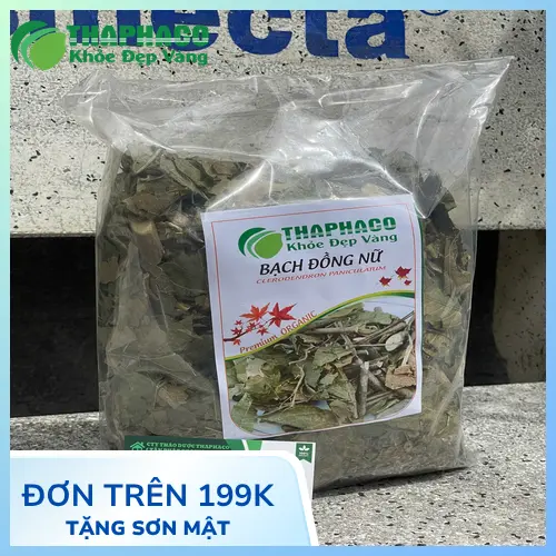 Dược sĩ giới thiệu về cây bạch đồng nữ tươi và khô