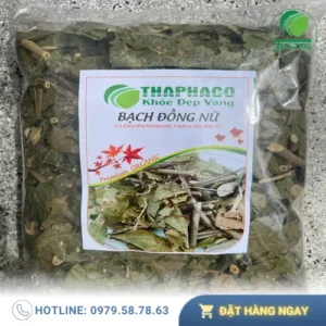 Bạch Đồng Nữ Tấn Phát: Giá Tốt, Chất Lượng Vượt Trội Tại THAPHACO