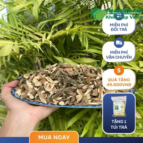Bạch đồng nữ khô chất lượng cao Noni Tấn Phát, chuẩn bị chế biến
