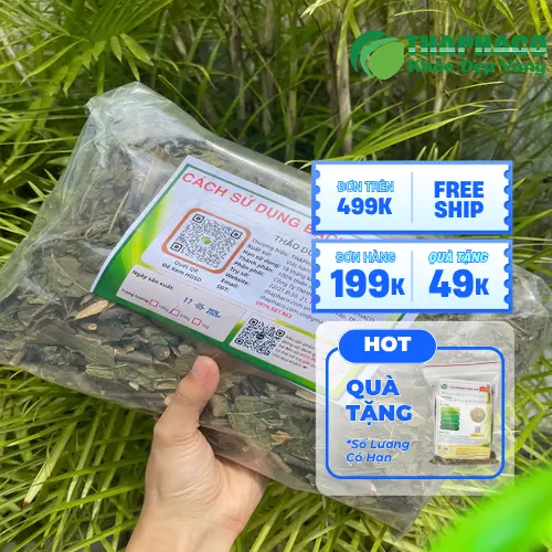 Trà Bạch Đồng Nữ Noni Tấn Phát thơm ngon, bổ dưỡng