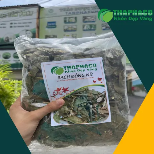 Bạch đồng nữ chất lượng cao từ Noni Tấn Phát, cam kết nguồn gốc rõ ràng và an toàn cho người sử dụng.