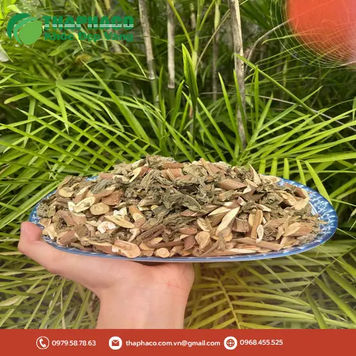 Bạch đồng nữ khô Noni Tấn Phát đóng gói tiêu chuẩn