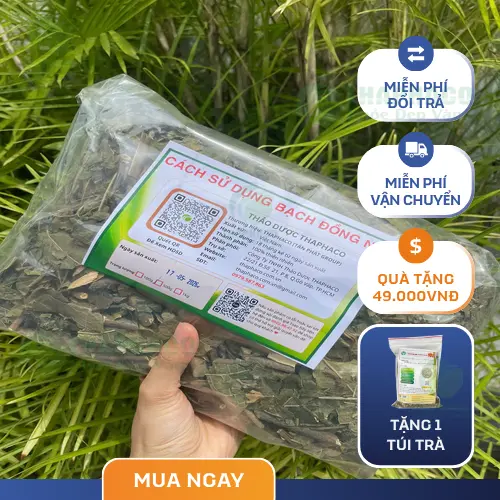 Ưu đãi mua 1 tặng 1 bạch đồng nữ và trà sơn mật