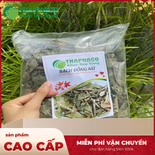 Bạch đồng nữ là giải pháp tự nhiên hiệu quả cho làn da, giúp lấy lại sự tự tin và cuộc sống khỏe mạnh.