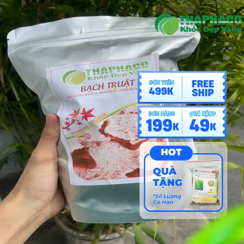 Bạch truật sấy khô nguyên củ chất lượng cao Noni Tấn Phát