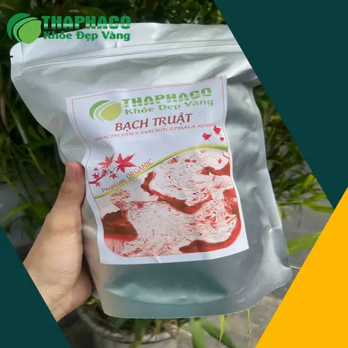 Cách sử dụng Bạch truật để trị nám hiệu quả