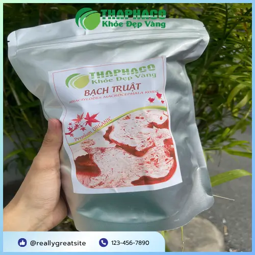Rễ bạch truật được bào chế trong quy trình sản xuất