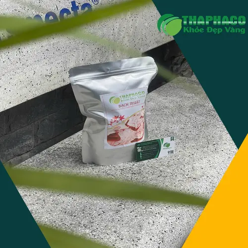 Bạch truật tươi nguyên củ, sẵn sàng cho quy trình chế biến