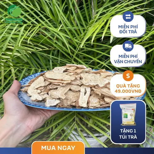 Sản phẩm Bạch Truật khô được kiểm định chất lượng nghiêm ngặt