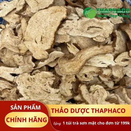 Noni Tấn Phát - Địa chỉ uy tín mua bạch truật sấy khô tại TP.HCM
