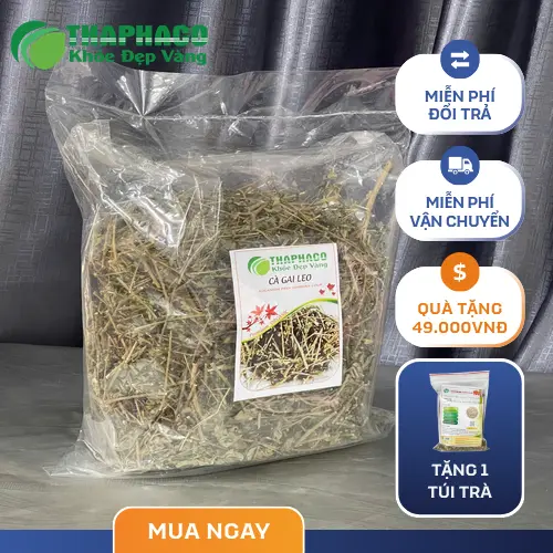 Sản phẩm cà gai leo khô chất lượng cao của Noni Tấn Phát