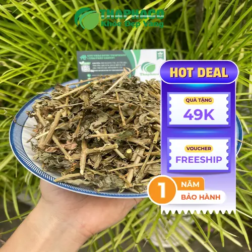 Bộ sản phẩm cà gai leo Noni Tấn Phát