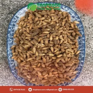 Công ty bán sỉ ké đầu ngựa sấy khô tại TP.HCM - Noni Tấn Phát