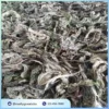 Lá khôi tía sấy khô tại TP.HCM: Giải pháp tự nhiên từ Noni Tấn Phát