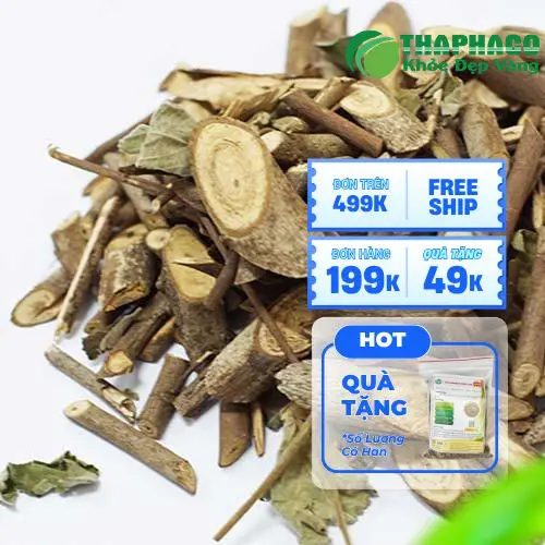 Cây an xoa khô chất lượng tại Noni Tấn Phát
