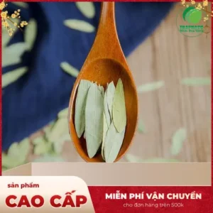Địa chỉ bán sỉ Phan Tả Diệp Khô tại TP.HCM | Noni Tấn Phát