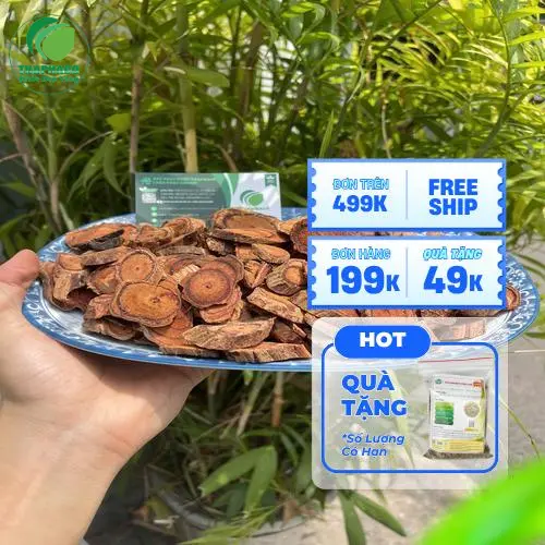 Kê Huyết Đằng khô tự nhiên tại Noni Tấn Phát