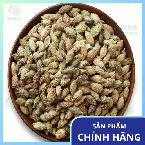 Ké đầu ngựa sấy khô chất lượng cao từ Noni Tấn Phát