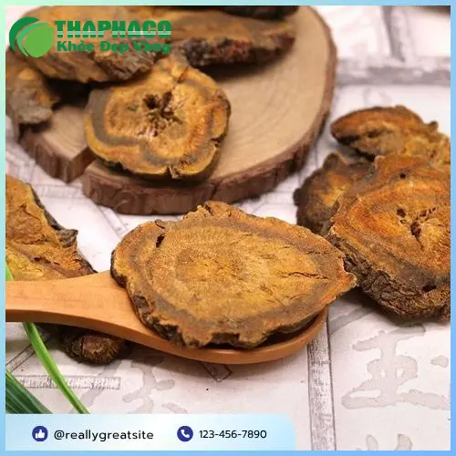 Củ Đại Hoàng tươi chất lượng cao từ Noni Tấn Phát
