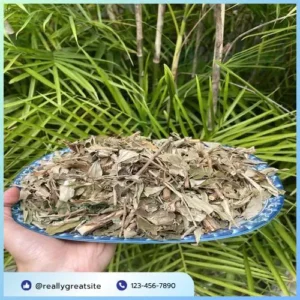 Khổ Sâm Tấn Phát: Mua Ở Đâu Rẻ, Chất Lượng, Có Quà?