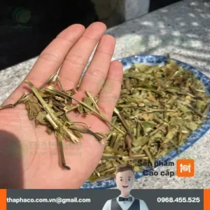Cửa hàng cung cấp sỉ lẻ hoàn ngọc khô tại TP.HCM