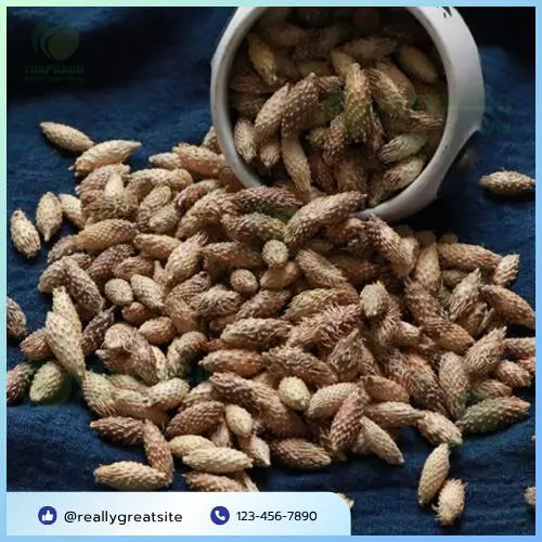 Ké đầu ngựa sấy khô được đóng gói cẩn thận