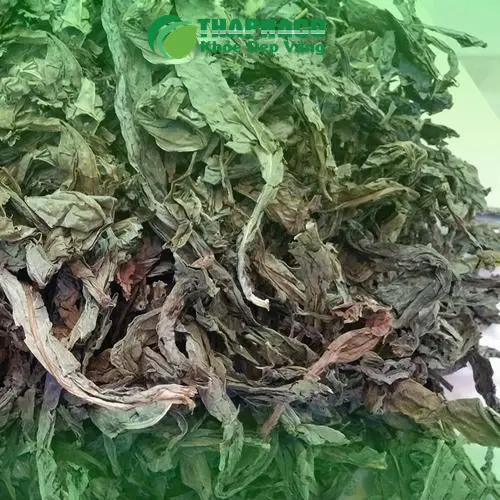 Lá khôi tía được sơ chế và sấy khô theo quy trình đảm bảo vệ sinh