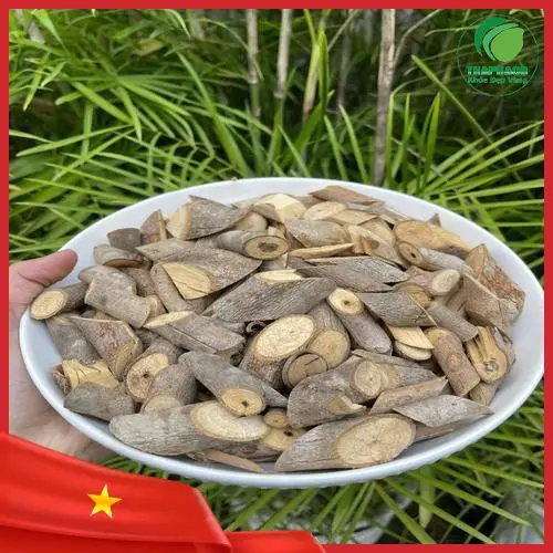 Lá và thân cây an xoa tự nhiên