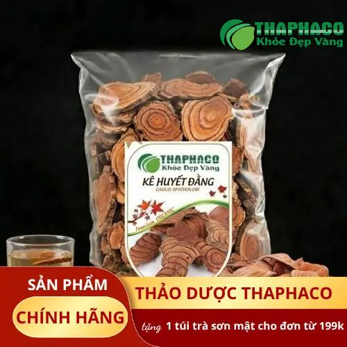 Bình rượu Kê Huyết Đằng ngâm Noni Tấn Phát