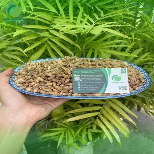 Ké đầu ngựa sấy khô nguyên chất từ Noni Tấn Phát