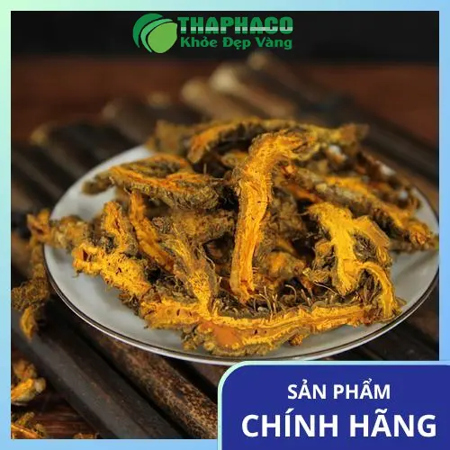 Cây Hoàng Liên tươi chuẩn bị chế biến