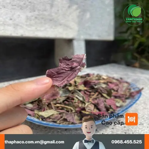 Lá đơn đỏ khô đã được sơ chế và đóng gói tại Noni Tấn Phát