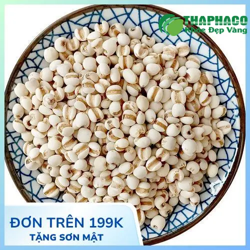 Lợi ích sức khỏe và sắc đẹp từ ý dĩ