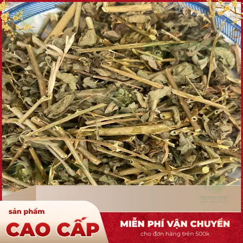 Noni Tấn Phát cam kết cà gai leo chất lượng