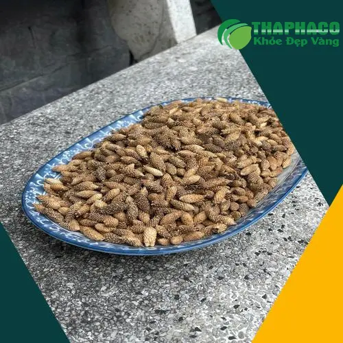 Chính sách giá sỉ ké đầu ngựa hấp dẫn tại Noni Tấn Phát