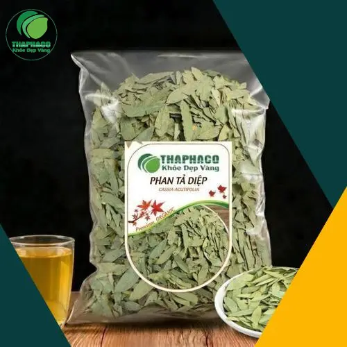 Pha Trà Phan Tả Diệp Khô Hướng Dẫn
