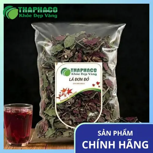 Quá trình phơi khô đơn lá đỏ của Noni Tấn Phát