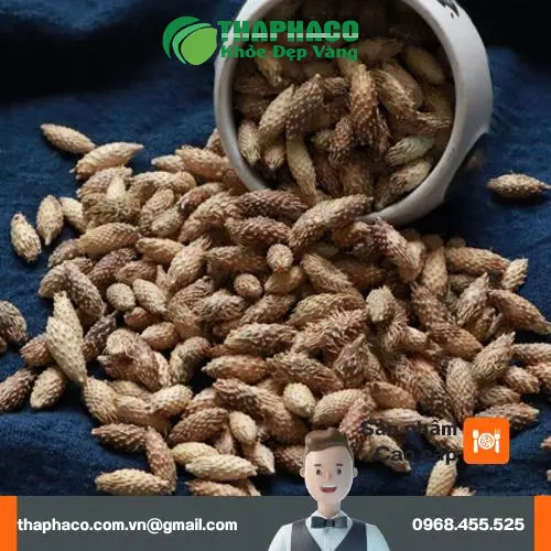 Quy trình kiểm định chất lượng ké đầu ngựa sấy khô