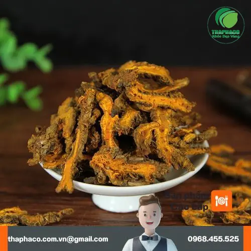 Hoàng Liên khô của Noni Tấn Phát