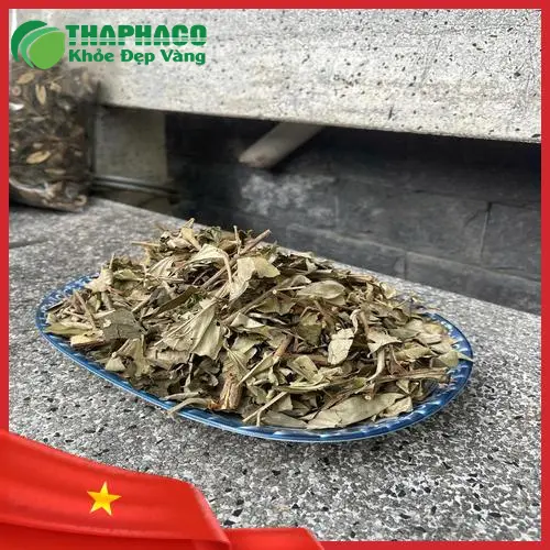 Khổ sâm đóng gói - Noni Tấn Phát