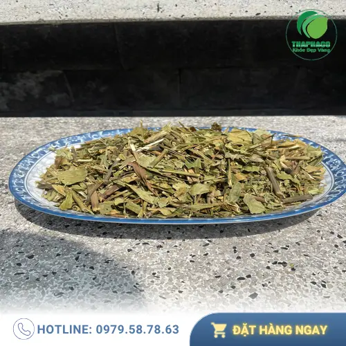 Noni Tấn Phát cung cấp Hoàn ngọc khô sỉ lẻ