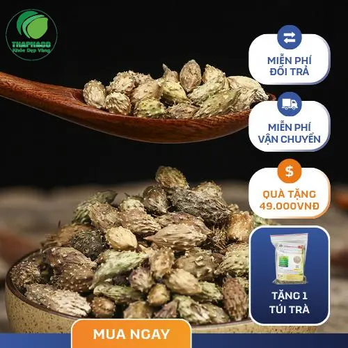 Noni Tấn Phát cung cấp ké đầu ngựa cho nhiều ứng dụng