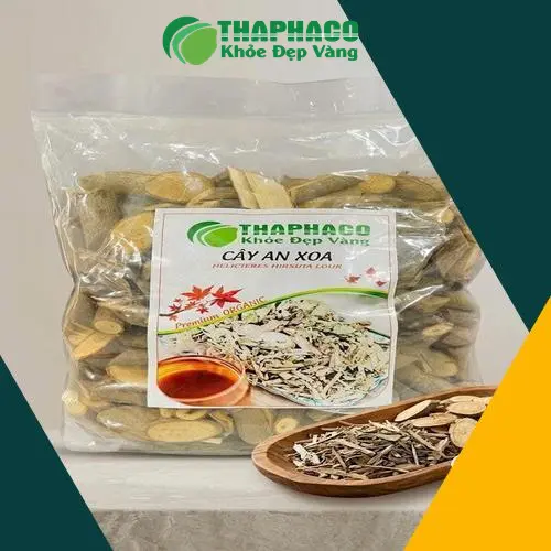 Hộp đựng cây an xoa được đóng gói cẩn thận