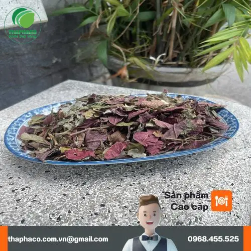 Sản phẩm đơn lá đỏ khô chất lượng cao từ Noni Tấn Phát