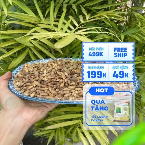 Ké đầu ngựa sấy khô đã đóng gói sẵn sàng giao đến khách hàng